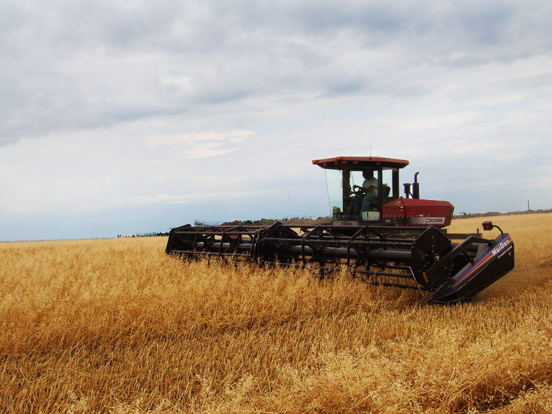 Agriculture Intensive