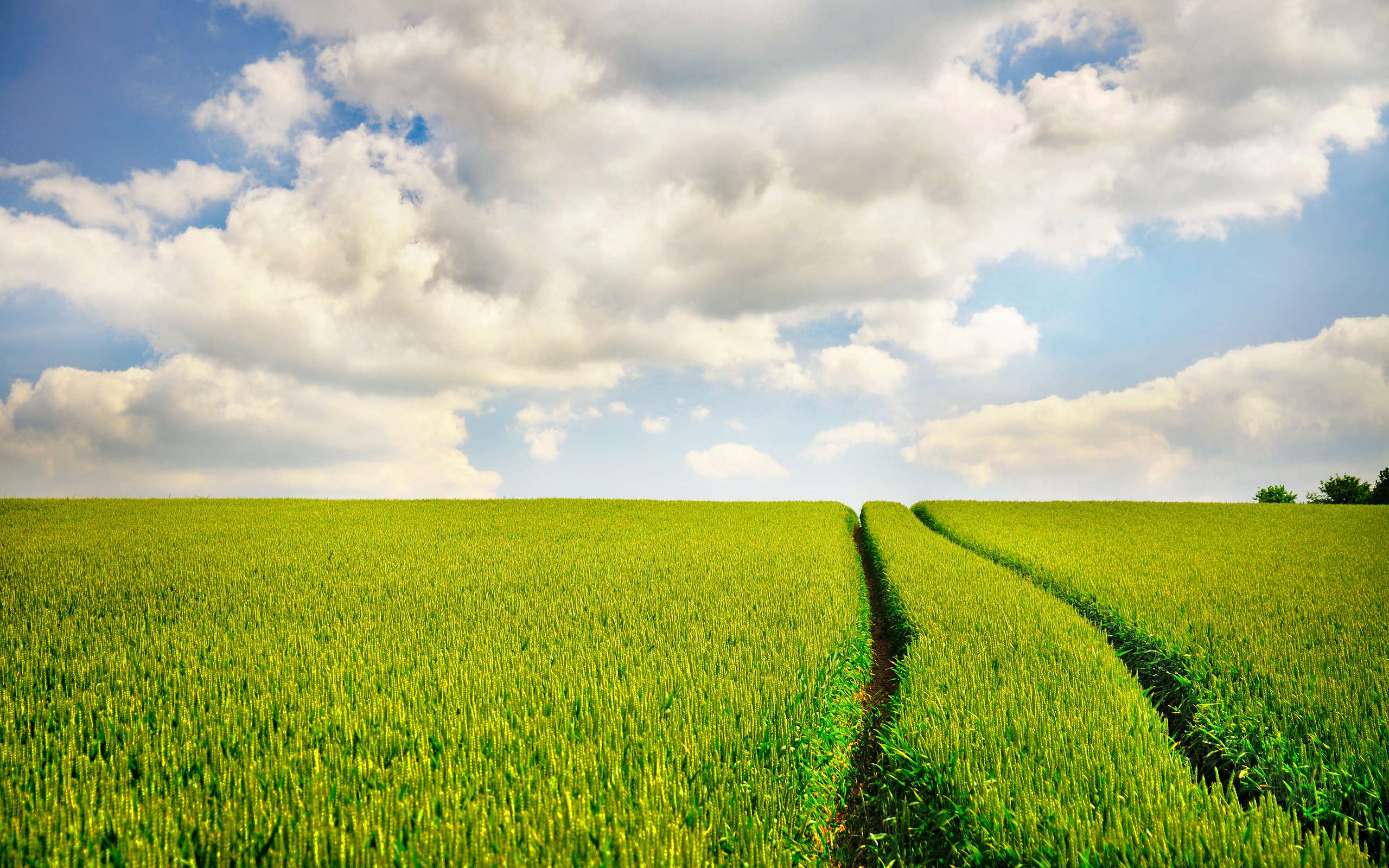 field-road-sky-signs-nature-photo-wallpaper-with-grass-grass-grass-wallpapers-fields-road